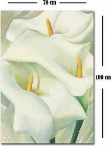 Vászonkép, 70×100 cm – 70100FAMOUSART-057