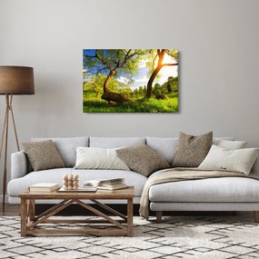 Kép egy tavaszi rétről (90x60 cm)
