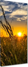 Vászonkép 55x115 Naplemente a füvek között