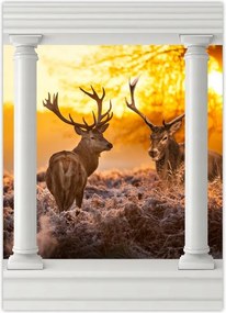 Poszterek 50x70 Szarvasok a rikkancson