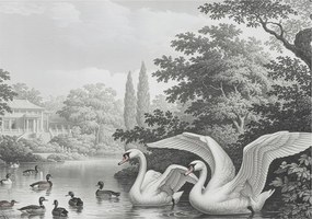 Dekoratív Fotótapéta Furnér Flizelin A természet eleganciája 312x219 Ragasztó