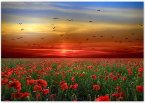 Poszterek 100x70 Tájkép Látvány