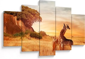 Kép - Zsiráfok Afrikában (150x105 cm)