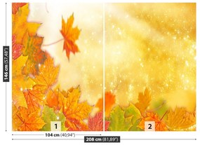 Fotótapéta Őszi levelek 104x70 cm