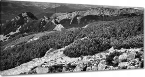 Képek 180x90 Tátra Lengyel hegyek Kilátás