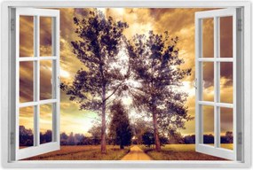 Poszterek 60x40 Vidéki tájkép úttal