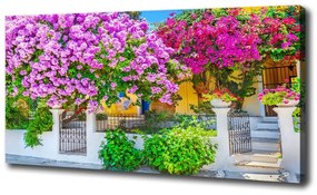 Egyedi vászonkép Ház bougainvillea oc-95673272