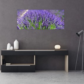 Kép - levandula (120x50 cm)