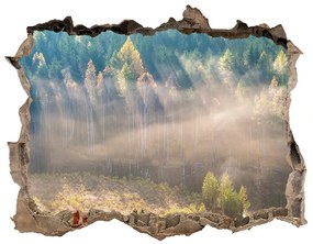 Fali matrica lyuk a falban Köd az erdőben nd-k-104886541