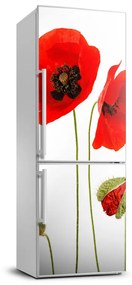 Matrica hűtőre Vadvirágok pipacsok FridgeStick-70x190-f-3560391