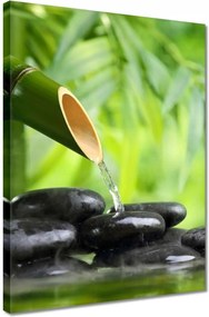 Vászonkép 30x40 Sanus per aquam Forrás