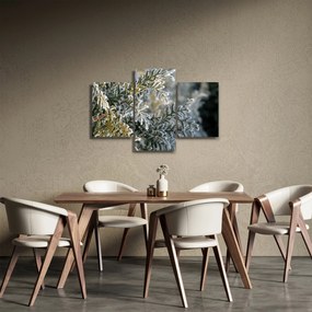 Kép - Ág részlet (90x60 cm)