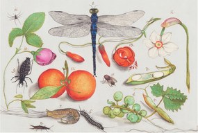 Fotótapéta Flizelin Dekoratív tapéta Természeti illusztráció 104x70