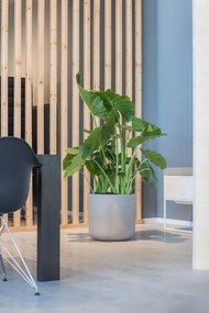 Charlie Planter, antik szürke, többféle méretben – Pottery Pots méret: XXL - 43 cm, ⌀ 44 cm