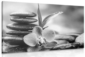 Kép Zen kompozíció fekete fehérben