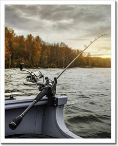 Poszterek keretben 40x50 Horgászat a csónakból Halak