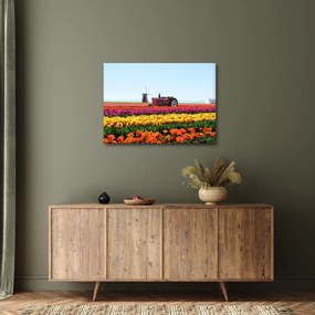 Tulipánfarm képe (70x50 cm)