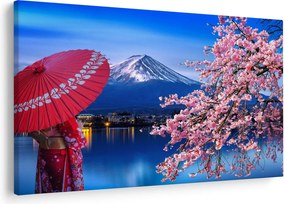 Kép - Kilátás a csúcsra, Japán (90x60 cm)