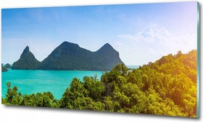 Kép plexi séta Panoráma Thaiföld virágok