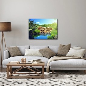 A tó képe a Seychelle-szigetek dzsungelében (70x50 cm)