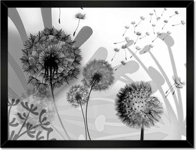 Poszterek keretben 40x30 Pitypang B&w