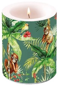 Trópusi majmos pálma leveles átvilágítós gyertya 12x10cm