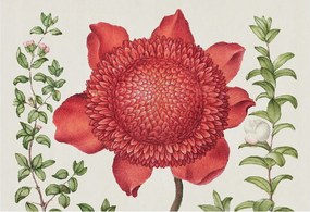 Flizelin Dekoratív fotótapéta Hálószobába Virágos elegancia 152x104