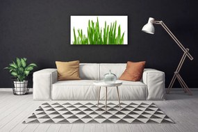 Vászonfotó Grass A Wall 125x50 cm