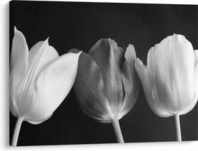 Kép - fekete-fehér tulipán virág (70x50 cm)