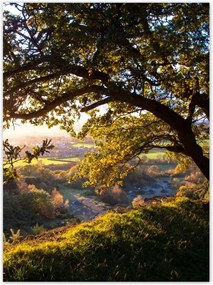 Poszterek 100x135 Kilátás a völgyre