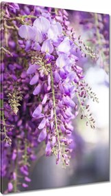 Vászonkép 80x120 Lila virágok Virágok