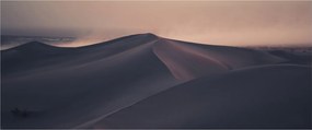 Kép - Homokdűnék (120x50 cm)