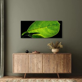 Kép - zöld levél (120x50 cm)