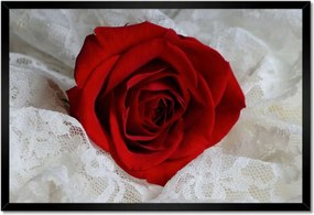 Poszterek keretben 60x40 Kedves ajándék a kedvesedtől