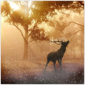 Poszterek 140x140 Szarvas az erdőben