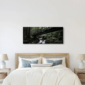 Fekete erdő képe (120x50 cm)