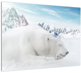 Kép - Jegesmedve (üvegen) (70x50 cm)