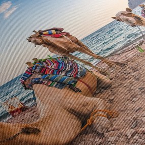 A tevék képe (150x105 cm)