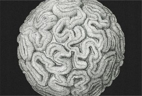 Fali tapéta Prémium gömb alakú szerkezet 104x70 ragasztó