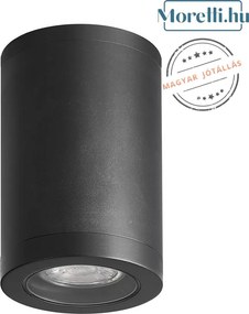 PREZENT 48325 MOPTI Modern Kültéri Mennyezeti Lámpa GU10 IP54