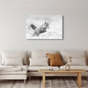 Kép - Ugró róka, fekete-fehér (90x60 cm)