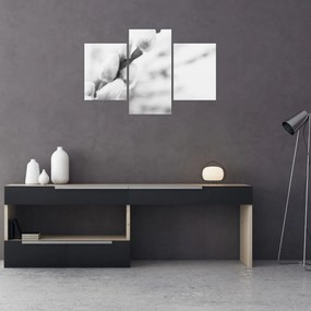 Kép - A tavasz kezdete (90x60 cm)