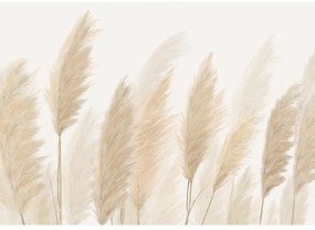 XXL fotótapéta Pampas 360 x 254 cm, 4 részes
