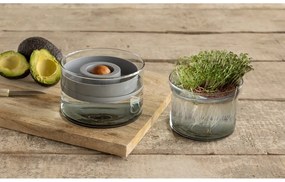 Üveg csíráztató tálka fűszernövényekhez ø 12 cm – Esschert Design