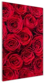 Akrilkép Vörös rózsa oav-102803756