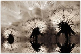 Poszterek 120x80 Pitypangok szépia papírsárkányok