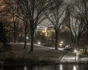 Poszter 76x60,5cm Central Park éjszaka, Assaf Frank