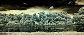 A víz felszínének képe (120x50 cm)