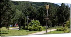Vászonkép 180x90 Zöld park fákkal
