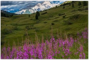 Poszterek 185x125 Tájképek Kilátások Tájképek